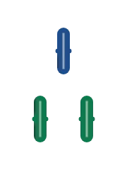 3 of Bamboo