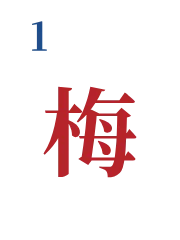 Plum (Flower 1)