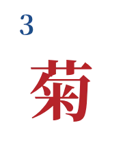 Chrysanthemum (Flower 3)